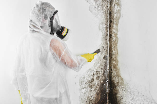 Water Damage Restoration in Rodney Village, DE