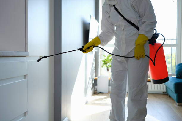 Best Fast Mold Removal  in Rodney Village, DE