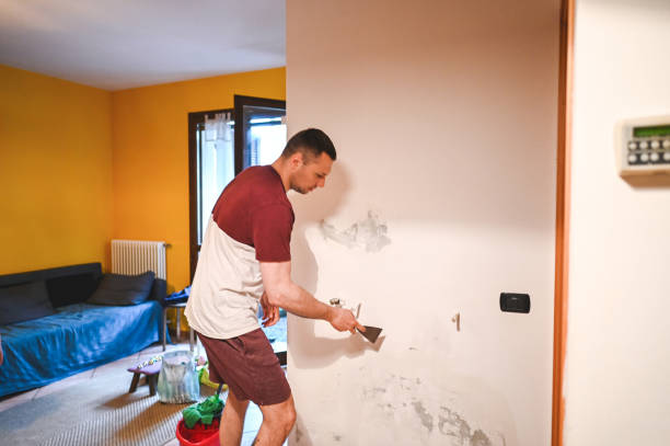 Best Local Mold Removal Service  in Rodney Village, DE